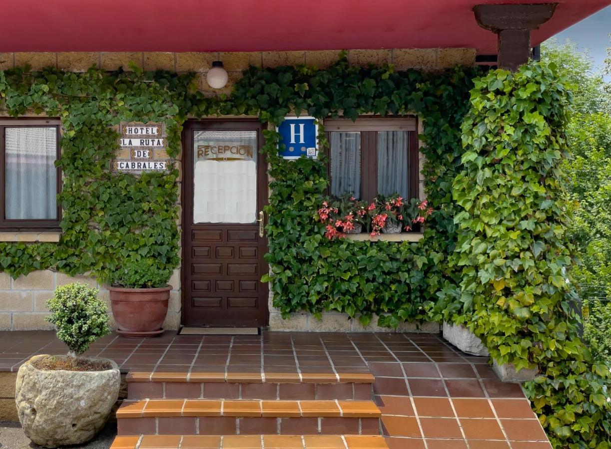 Hotel Rural "La Ruta De Cabrales" Местас-дель-Кон Экстерьер фото